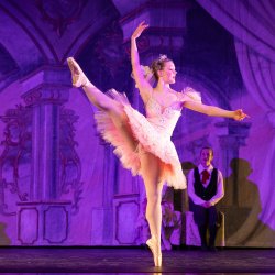 The 2026 Sugarplum Fairy Tea