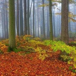Unwind: Single Class Pass - October 15