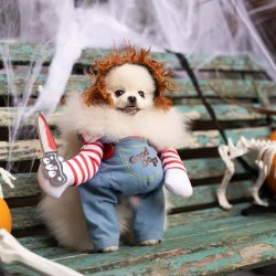 Pom Cafe Halloween - Manchester