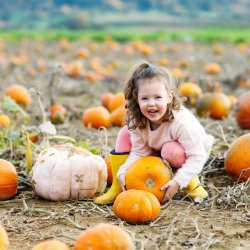 Pumpkins at the Park
