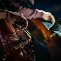 LCO A Summer Soirée at Thurloe Square