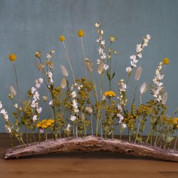 Create a dried flower meadow