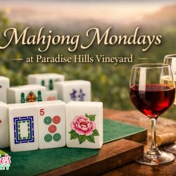 Mahjong Mondays BEGINNER LESSON