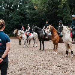 Stage 2 Coaching