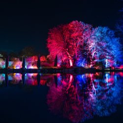 The Elsham Hall Light Show 2026