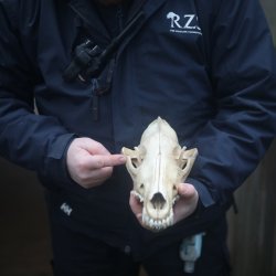 Zoo Done It? at Edinburgh Zoo