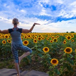 Sunflower Yoga August 2026