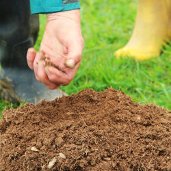 Healthy Soils Connected @ FarmED