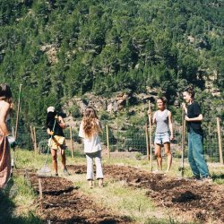 Jornada de preparació de l'hort d'hivern i sembra directa