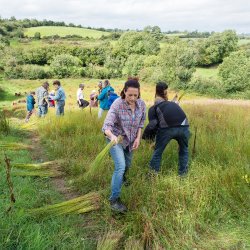 The Flax Meitheal Harvest Celebration 2026
