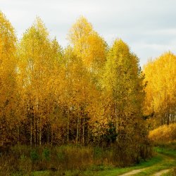 Unwind: Single Class Pass - November 12