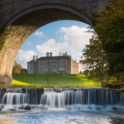 Creating unique experiences: how to attract groups and create a bespoke experience for visitors