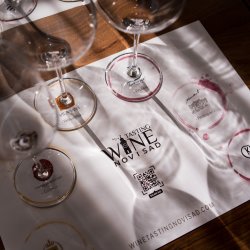 Wine Tasting Novi Sad