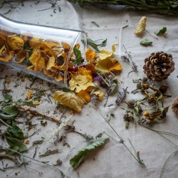 Autumn still life of seasonal herbs and vegetables