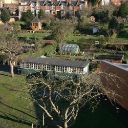 gardens