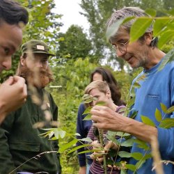 Food Forests And Landscape Restoration – Advanced Masterclass