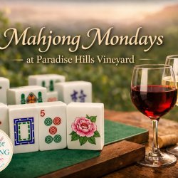 MAHJONG BEGINNER LESSON
