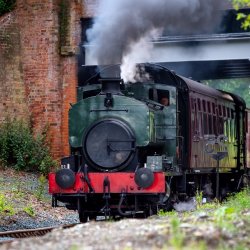 Special Timetable Rover Tickets + Evening Brewery Service
