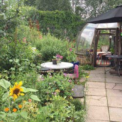 RtG Drop-In Open Garden Session 3: Canal Club Community Garden