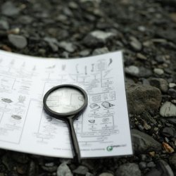Detective vegetali- Laboratorio per bambini