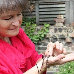 Resurgence Talk: Vicki Hird - 'Rebugging the Farm'