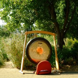 Autumn Equinox Nature Meditation & Sound Bath with Laura & Finlay Hinde