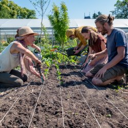 Tour + Permaculture