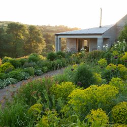 Dan Pearson at Hillside - June 16