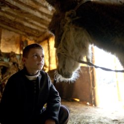 The Beauty of the Donkey / Bukuria e Gomarit (Dea Gjinovci, 2025)
