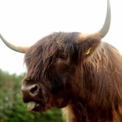 Charleton Farm Animal Adventures