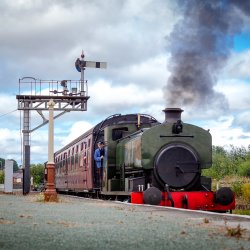 Special Timetable Rover Tickets