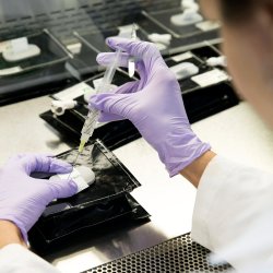 Cancer research at Sheffield University