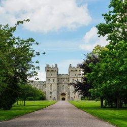 Royal Household Cricket Festival