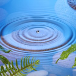 Creating Calm: emotional co-regulation for children and adults (North/West Lindsey)