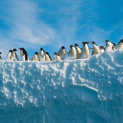 Mission: Antarctica