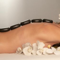 Bliss Yoga Holistic Treatment