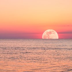 🌕 Strawberry Full Moon in Capricorn – A Night of Release, Grounding & Empowerment 🌊✨
