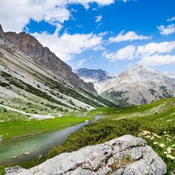 Alla Scoperta Della Biodiversità Nella Val Di Fraele E Valle Alpisella