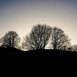 Shadowlands