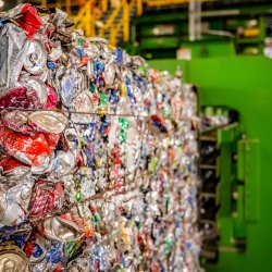 Recycling 101