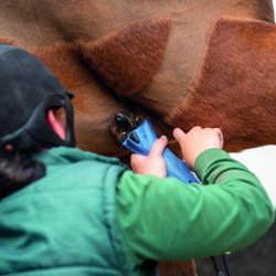 Clipping with Confidence