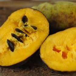 PAW PAW FRUIT TASTING & ORCHARD TOUR