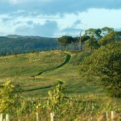 Nature Recovery Tour with River Six - FREE community event
