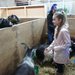 Animal Carer for the Day