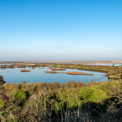 Mid-week Morning Walk : Cliffe Pools