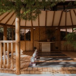 Bloom — A Day Retreat with Yoga with Bijal