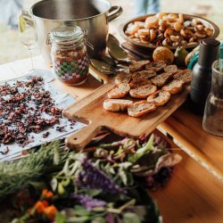 Summer: Head Gardener Talk & Tastings