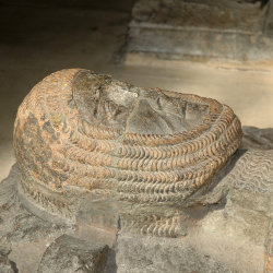 William Marshal - Sophie-Thérèse Ambler & David Horspool