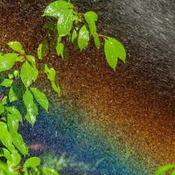 Queer Joy: The Gathering