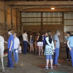 A group of people stand and walk in an arena among loose horses and toys/props such as hula hoops and pool noodles